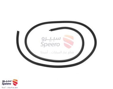 Surround Weatherstrip - 22766410