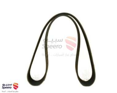 Engine Belt - 252122E660