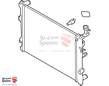 Radiator - 253101M320