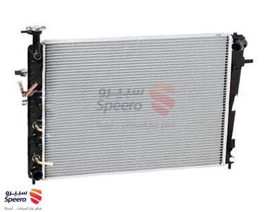 Radiator Assembly - 253102E450