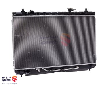 رديتر ماء - 253104D950