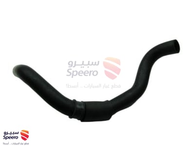 Hose-Radiator Lower - 254122D150
