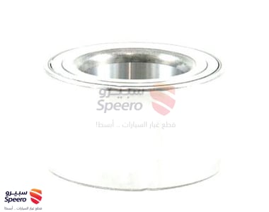 Front Wheel Bearing - 402102Y000