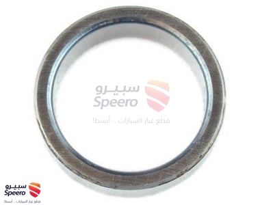 4242320010 - 4242320010