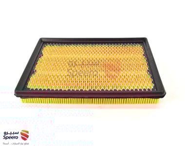 Air Filter - 5019002AA