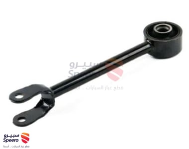 Rear Left Lower Control Arm - 55110ZX00B