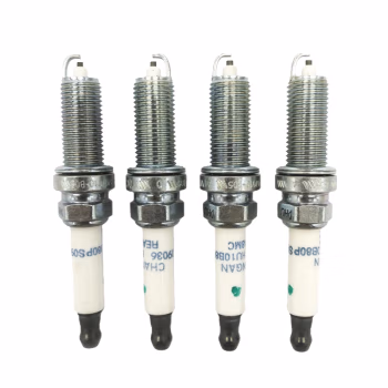 Plugs - H160010800