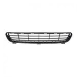 صورة Grille Bumper