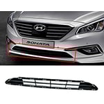 صورة شبك صدام