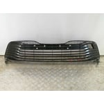 صورة شبك صدام