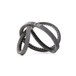 صورة Dynamo Belt