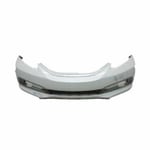 صورة صدام امامي