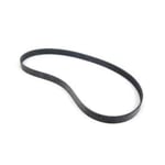 صورة Ribbed V-Belt