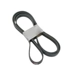 صورة Power Steering Oil Pump Belt