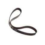صورة Dynamo Belt