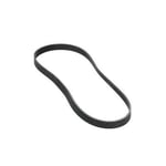 صورة سير دينمو