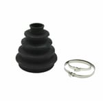 صورة جلدة عكس امامي خارجي