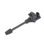 صورة Ignition Coil Assembly