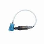 صورة Oxygen Sensor