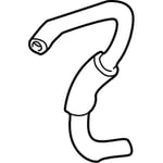 صورة Hose-Radiator Lower