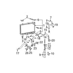 صورة Hose-Radiator Lower