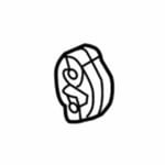 صورة ربلة شكمان