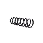 صورة Springs F