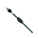 صورة عكس امامي يمين