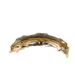 صورة Brake Pads