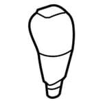 صورة مسكة عصا قير