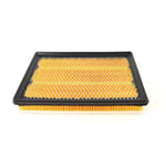 صورة Air Filter