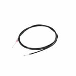 صورة سلك كبوت