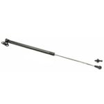 صورة Trunk Struts
