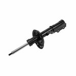 صورة Front Suspension Strut Assembly