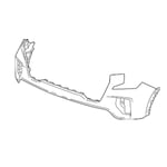 صورة صدام امامي