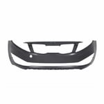 صورة صدام امامي