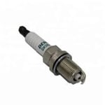 صورة PLUG, SPARK