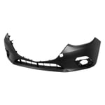 صورة صدام امامي