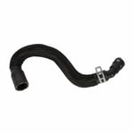 صورة Radiator Reservoir Hose