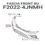 صورة صدام امامي