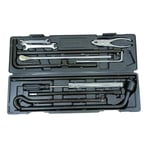 صورة عصاء استبنة