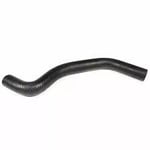 صورة Upper Radiator Hose