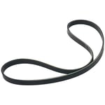 صورة Engine Belt