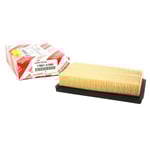 صورة ELEMENT SUB-ASSY, AIR CLEANER FILTER