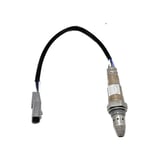 صورة حساس قزوز أو حساس شكمان