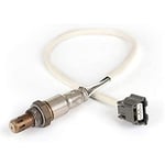 صورة Oxygen Sensor