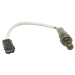 صورة Oxygen Sensor
