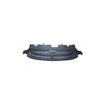 صورة Center Engine Liner