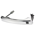 صورة Door Handle Out