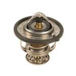 صورة Thermostat Valve